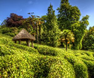 Glendurgan Gardens