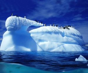  Iceberg, Antarctic Peninsula