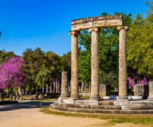 Olympia with blooming cercis tree