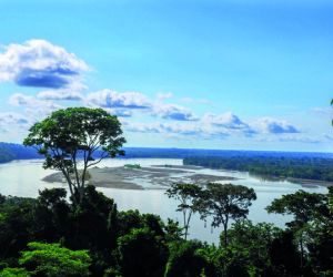 Yasuni National Park