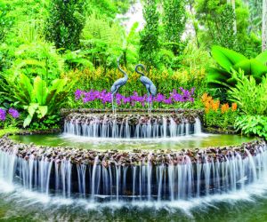 National Orchid Garden, Singapore