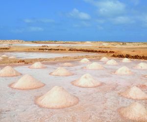 Salt pans, Sal