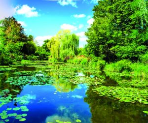 Claude Monet’s Water Garden