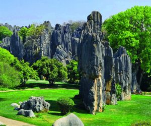 Stone Forest, Kunming