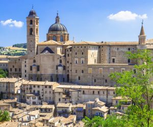 Urbino