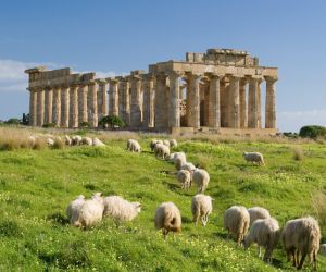 Temple of Hera, Selinunte