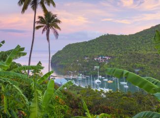 Rainforest of St.Lucia