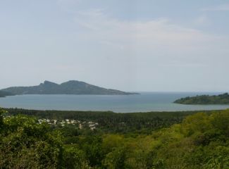 Tropical Flowers on the Comoro Islands