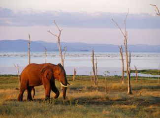 African Waterways African Waterways
