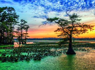 Mississippi Mississippi