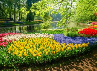 Garden Tours & Cruises Garden Tours & Cruises