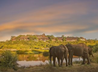 Wildlife & Safari Tours Wildlife & Safari Tours