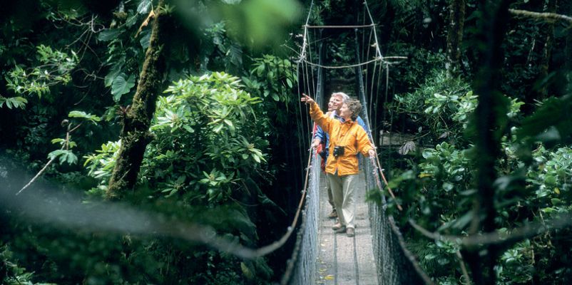 Treetop walkway, Monteverde Cloud Forest Reserve