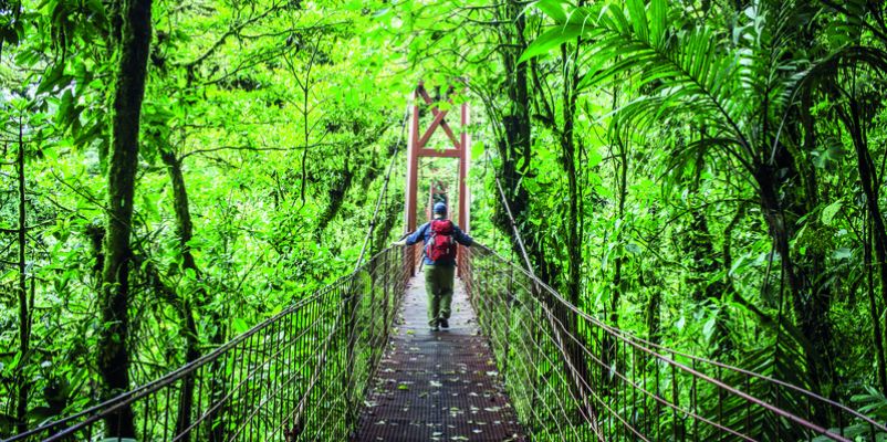 Monteverde Cloud Forest