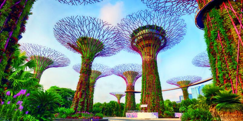 Supertrees