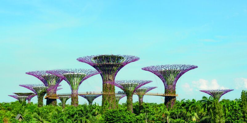 Supertrees, Garden by the Bay, Singapore