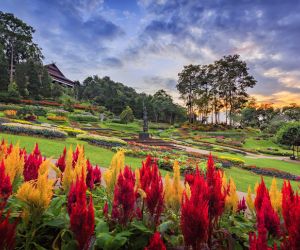 Mae Fah Luang Botanical Garden