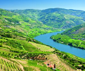Vineyards of the Douro Valley