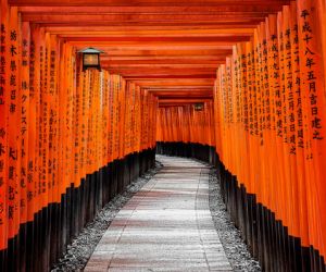 Red Torii gates, Fushimi Inari shrine